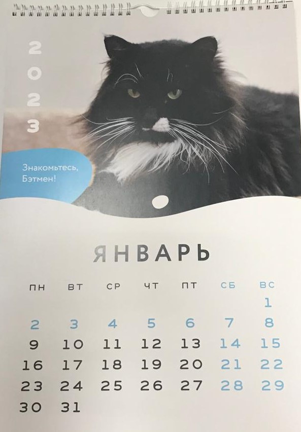 Календарь А3 подвесной ХРОО "Добрый дом" 2023г.