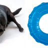 Petstages игрушка для собак "ОРКА кольцо" 16 см большая