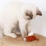 Pet Toys игрушка для кошек Птичка со звуковым чипом