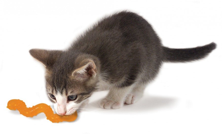 Petstages игрушка для кошек "ОPKA червяк", для здоровья полости рта