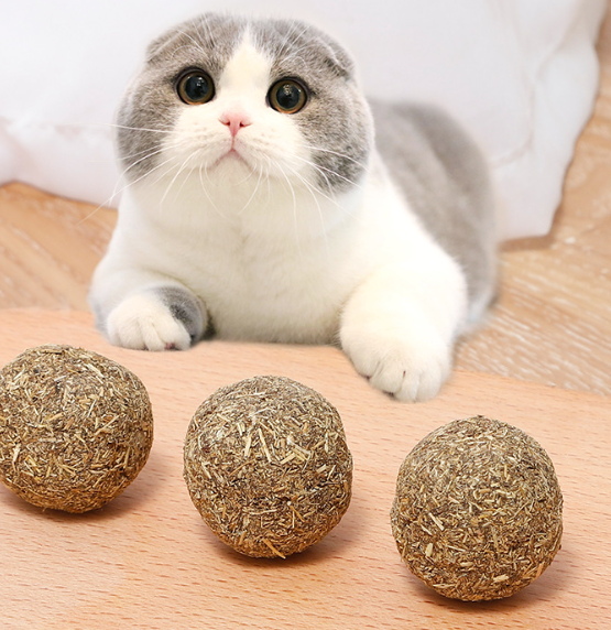 Мятный шар для кошек с пером