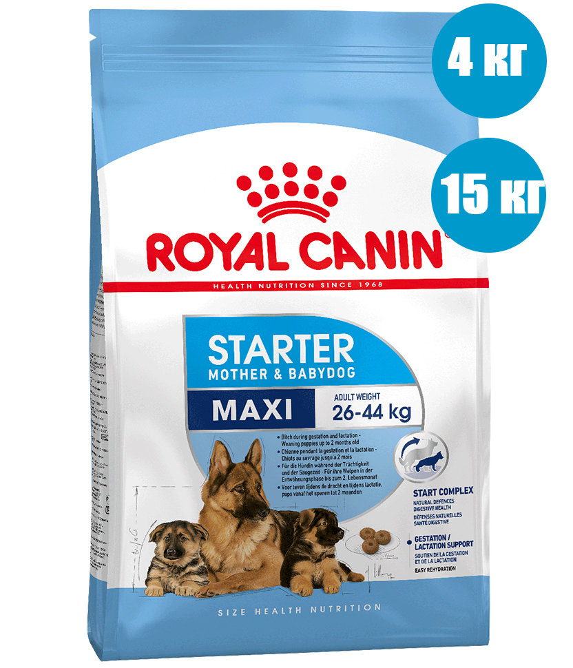 Royal Canin  Maxi Starter Для щенков крупных пород 3 нед. - 2 мес., беременных и кормящих сук