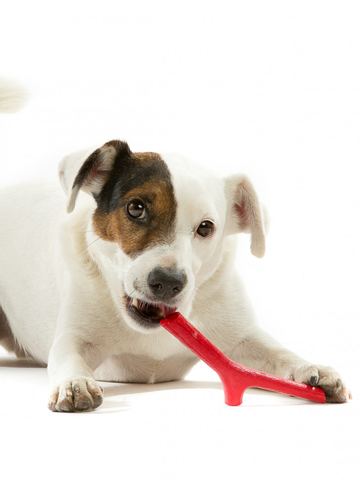 BAMA PET игрушка для собак палочка TUTTO MIO, резиновая, цвета в ассортименте